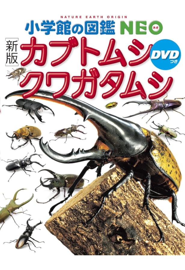 カブトムシ・クワガタムシ (小学館の図鑑ネオぽけっと 10) | 小池 啓一